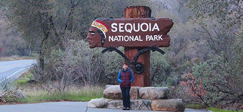 Sequoia National Park